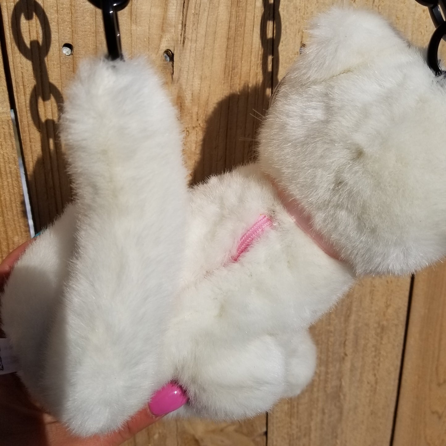 Sasha Kitty purse